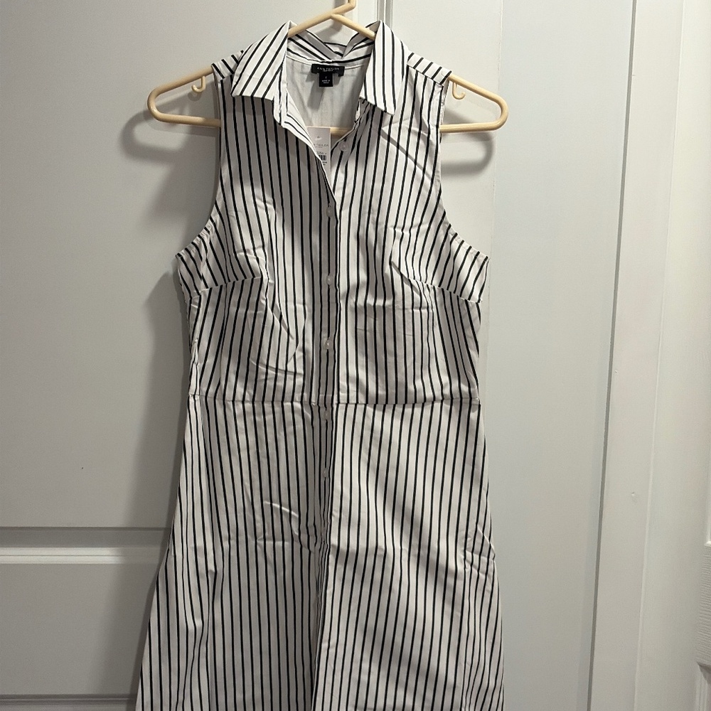 NWT Ann Taylor Factory pinstripe sleeveless dress